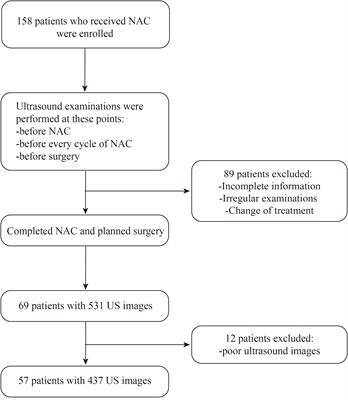 Monitoring response to neoadjuvant therapy for breast cancer in all treatment phases using an ultrasound deep learning model